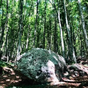 Tirana and Dajti Mountain - Private Tour
